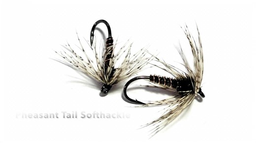 The Pheasant Tail Soft-Hackle is one of those simple, honest patterns that has earned its place in fly boxes all over the world. Built on the same foundation as the classic Pheasant Tail Nymph, this version adds a soft collar that brings the fly to life with every small movement of the current. It’s a fly that doesn’t try to be perfect or complicated. Instead, it relies on natural materials and a slim, understated profile to imitate a wide range of emerging insects. The soft hackle gives it that