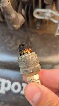 How to remove and clean the Masport Lawn Mower Spark Plug