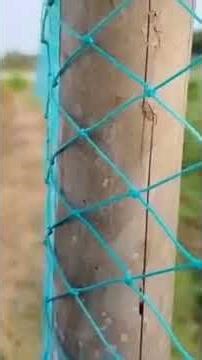 power tiller working Shorts viral video For you Agriculture farmers life Working