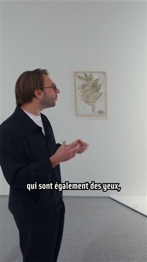 Les yeux graines de Mathilde Rosier, mi-fruits mi-organes