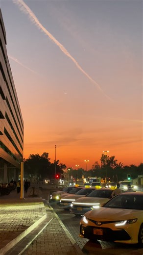 Exploring Mushrif National Park: Dubai Hiking Trail Guide