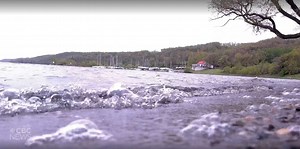 Protecting Pelican Lake from invasive species comes at a price: businesses