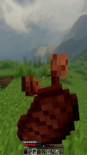 #minecraft #humor #mods