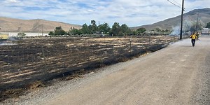 Fire crews knock down brush fire near Cold Springs