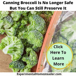 Canning Broccoli Is No Longer Safe But You Can Still Preserve It