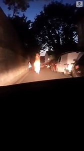 "You wonder how they became extinct, don't you?" Police officers in England couldn't contain their laughter when a person dressed in an eight-foot-tall inflatable T-rex costume led them on a late night chase near Royal William Yard. https://abcn.ws/32NJVmT | ABC News