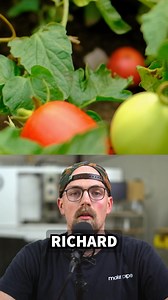 #makerpipe #emtconduit #diy #gardening #reelstrending | Maker Pipe