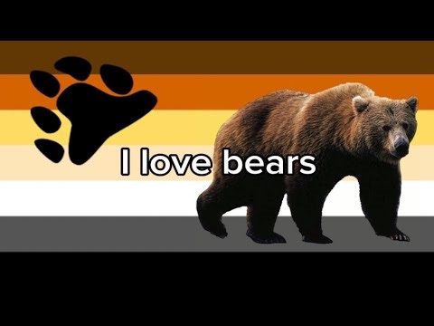 Some of my favorite bears