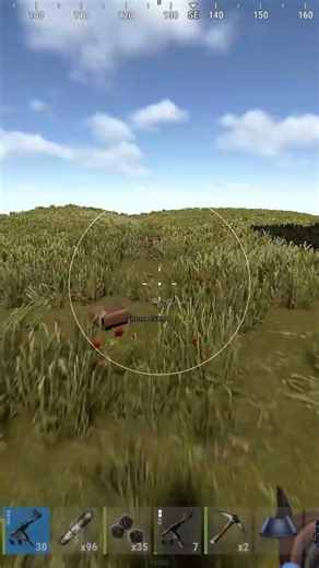 AIMBOT AND WALLHACK RUST FREE?