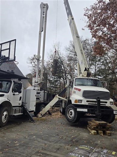 Bark Busters Tree Service Announces Enhancements to Core Services Across Tennessee and North Georgia