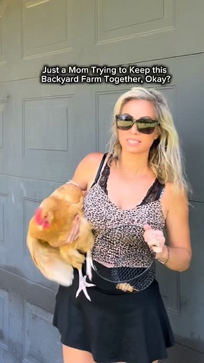 I’m just a mom trying to keep this backyard farm thing together, okay? 😆🐑🐓everyday brings its own set of chaos. I did not grow up on a farm just winging it as I go. #backyardfarm #funnyfarm #sheeplife #chickensofinsta #farmanimalsofig #funnyfarmmomma #funnyfarmmoments #farmchores #momlife #funnyanimals #fyp #funnymomlife | Backyard Barbee