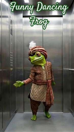 Music Music Music Song | Funny Dancing Frog #dance #funny #music #shorts