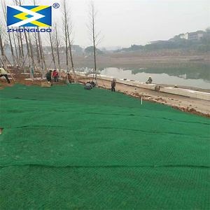 [Hot Item] Erosion Control Geomat/Planting Mat/Plastic Mesh/3D Geomat Slope Protection Erosion Control Mat Drainage 3D Geomat