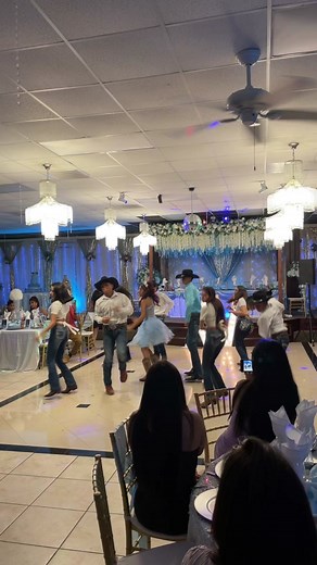 Lily Reception Hall on TikTok