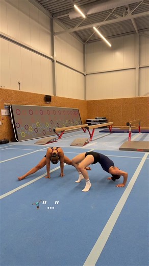 Flexibility Check: Gymnasts Showcase Their Skills
