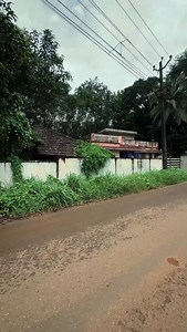 👀When Artists meet this kind of walls! Beautiful girl’s portrait on naturally decorated wall. #naturedecoration #naturalart #art #potrait #artist_nishad_ | Nishad V A