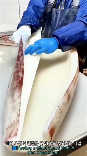 Peeling a Giant Squid Skin in One Clean Sheet