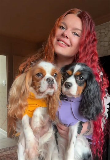 @SPARK PAWS weatherproofs for the rainy days ahead! You can save 15% using our link https://www.sparkpaws.com/CLOVERROSE #sparkpaws#getready#dogmum#cavalier#tryon