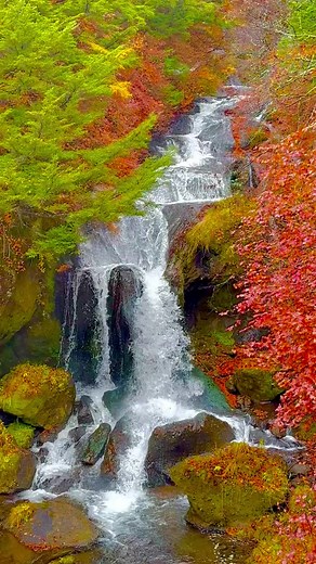 竜頭ノ滝の美しい紅葉と滝の景観