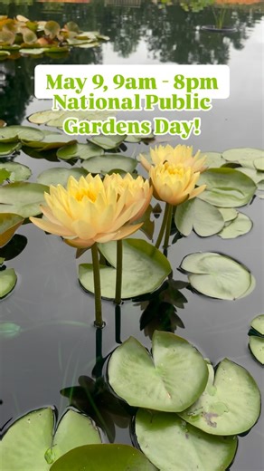 🌿 Free Admission Friday! 🌿 In honor of National Public Gardens Day, we’re celebrating BIG—with free admission for everyone on Friday, May 9 from 9 AM to 8 PM! 🌼✨ Stroll through vibrant garden paths, discover hidden corners, and let nature work its magic. While you’re here, don’t forget to join the American Public Gardens Association’s Photo Scavenger Hunt! 📸 Snap your favorite spring blooms, share them on social media using the hashtags #GoPublicGardensDays and #GoPublicGardens, and be part 