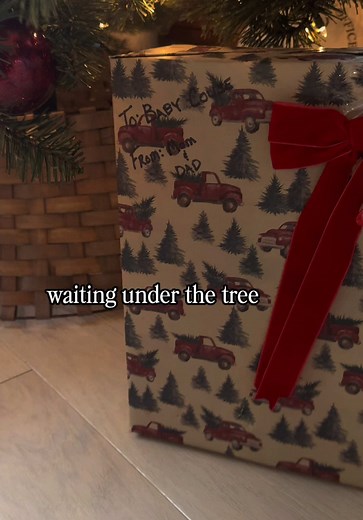 Heartwarming Adoption Journey During Christmas Season