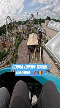Cobra Onride Walibi Belgium 🎢 🇧🇪 #rollercoaster #adrenaline #themepark #ride #walibi #achtbaan #fyp