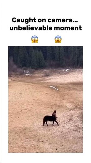 The Legend of the Centaur 🐎 Half Human, Half Horse! 🫥😱