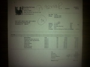 Stratford Animal Control Double-Killing, Double-Billing at Milford Pet Center?