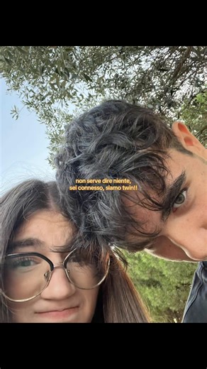 The Bond of Twins: Understanding Twin Connection