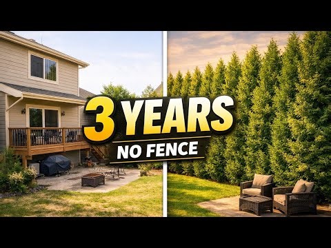 10 Fast Growing Trees That Create Backyard Privacy in Just 3 Years