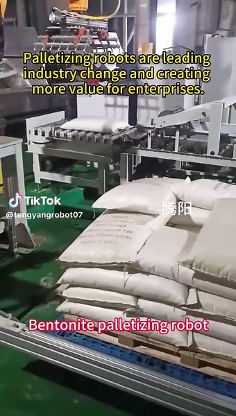 Palletizing Robots Transforming Industries