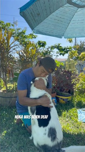 My Dog Knows Sign Language