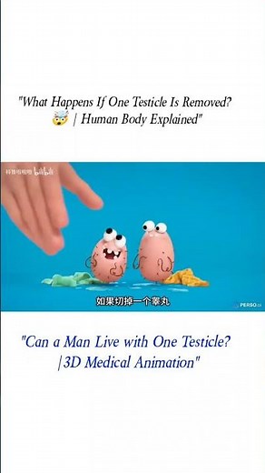 "What Happens If One Testicle Is Removed?🤯 TesticleRemoval #MaleAnatomy #3DAnimation #ScienceShorts