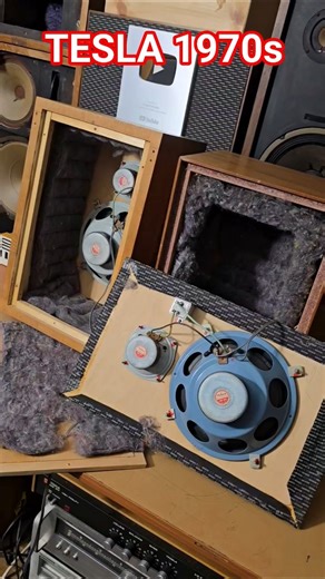 Rare 70s Tesla Bass Speakers: Deep Dive!