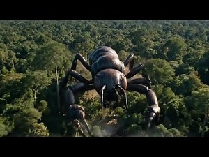 “Giant Amazon Jungle Ant Attacks!Real Life Monster InThe Wild”#viral #vlog #love