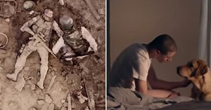 The Royal Dutch Guide Dog Foundation commercial for veteran dogs