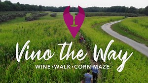 374 reactions · 183 shares | Looking For A Great Time? Vino The Way!  Our wine and beer tasting adventure through our corn maze returns! Although the Vino is the hero, we didn't forget about those lovers of the frothy lager. You can choose a Beer OR Wine option at each drink station. Click the link to learn more and reserve your spot! #vinotheway #ohiowinemaze #ohiowines #ohiofindithere #cleveland #ohio #cle #thisiscle #clevelandohio #theland | Mapleside Farms | Facebook