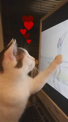 Otaku Cat Mimi 😸🐾 DEEP BLUE TOWN 🌊 #Kawaii #3BonkersCats