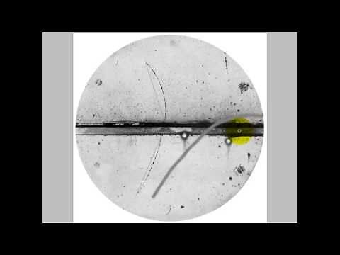 How to identify a positron