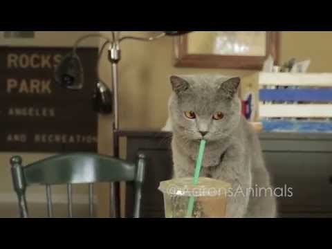 Pet Peeves - Aarons Animals