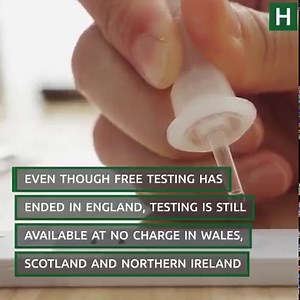 62K views · 76 reactions | What a faint line on a lateral flow test means | Hampshire Live | Facebook