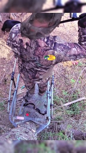 охота на медведя 🐻 дерево, стрела 🏹 удачный выстрел, потрясающий большой черный медведь 🐻 охота