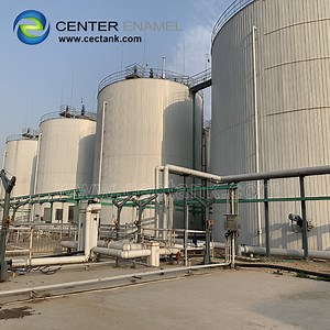 [Hot Item] Large Capacity Anaerobic Fermentation Tank Biogas Plant Biogas Digester