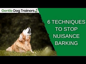 How To Stop Your Dog From Barking Excessively: 6 EASY Techniques