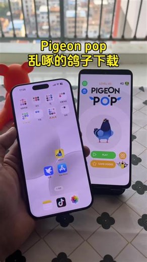《小椰精选》pigeonpop苹果安卓下载教程 #pigeonpop #pigeon鸽子 #乱啄的鸽子 #pigeon
