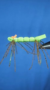 "Ol' Mr. Wiggly is just such a fun name to say." Tie and video by Howie Fischer @howardtheduck23 . . . . #flytying #flytyingjunkie #flyfishing #flyfishingaddict #flyfish #flytyingnation #jstockard #fishing #atthevise #flytyingaddict #flytyingporn #tightlines #troutbum #macrophotography #flytyingphotography #trout #flyrod #torrfluga #whiting #whatgetsyououtdoors #keepemwet #troutcandy #angler #troutflies #fluefiske #orvis #fliegenfischen #catchandrelease #ahrexhooks | MidCurrent