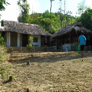 140K views · 2.9K reactions | Harvest lots of green potatoes to sell at the market - process fish to eat with the two children. Part 48 | Poor Mother Life | Facebook