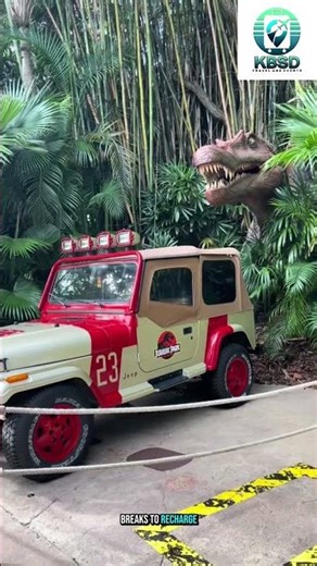 First time at Universal Studios? 🎢🌟