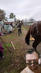 A vrut si el sa dea 🤣 | Gabriel Filimon