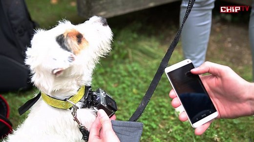 GoPro - Besser Filmen - Anleitung